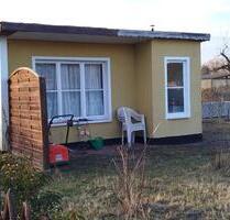 Kleingarten Parzelle Garten Pacht Cottbus Sachsendorf genau lesen