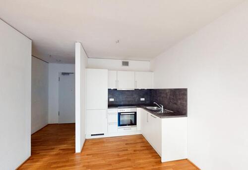 Foto - Großzügiges 1-Zimmer-Apartment mit EBK und Loggia