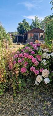 Foto - 4 Zimmer Doppelhaushälfte in Gronau (Westfahlen)
