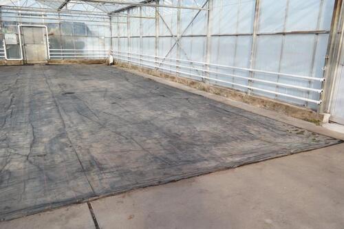 Foto - andere zur Miete in Wachtendonk