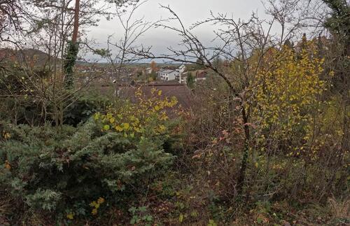 Foto - Haus bei Rottenburg – Zwangsversteigerung 29.04. – Besichtigung