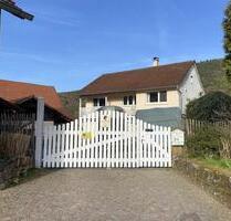 Sanierter Dreiseithof mit 3ha Land, Stall ,Paddock, Nebengebäuden - Hirschhorn (Neckar)