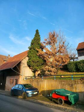 Foto - 5 Zimmer Doppelhaushälfte in Jossgrund