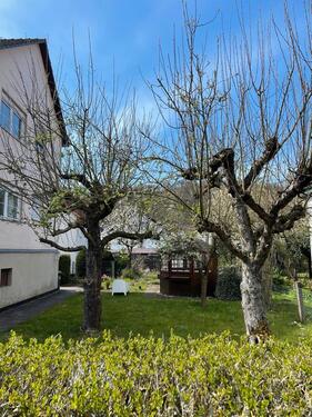 Foto - 6 Zimmer Mehrfamilienhaus, Wohnhaus zur Miete in Rotenburg an der Fulda