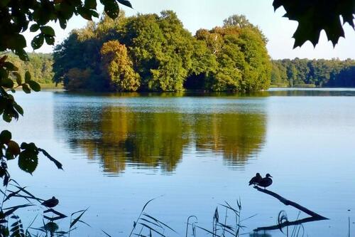 Foto - andere in Müllrose zur Miete