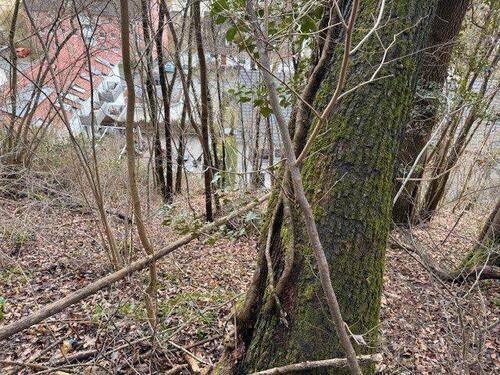 Foto - Grundst&uuml;ck in Neckartenzlingen zur Miete