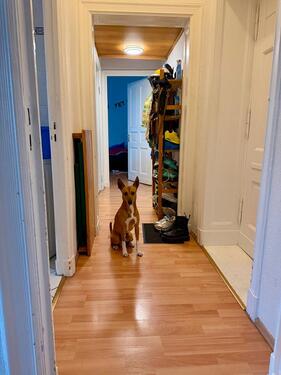 Foto - Etagenwohnung in Berlin zur Miete