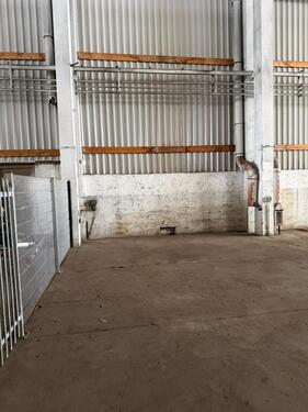 Foto - andere in Halle (Saale)