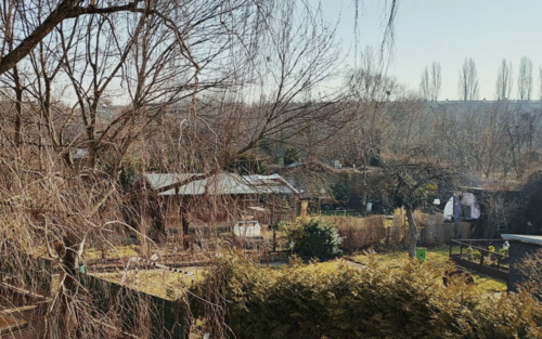 Foto - Süße 1-Zimmer Wohnung in Berlin Pankow zur Zwischenmiete