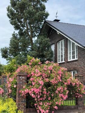 Foto - Küstennahes Haus Villa Top Zustand . Besondere Architektur