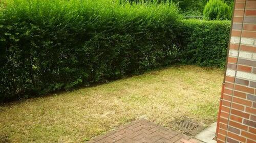 Foto - Etagenwohnung in Essen zur Miete