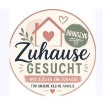 3 bis 4 Zimmerwohnung in Paderborn