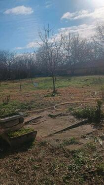 Foto - 3 Zimmer Einfamilienhaus in Gerbstedt