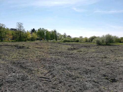 Foto - Grundst&uuml;ck zur Miete in Rhauderfehn