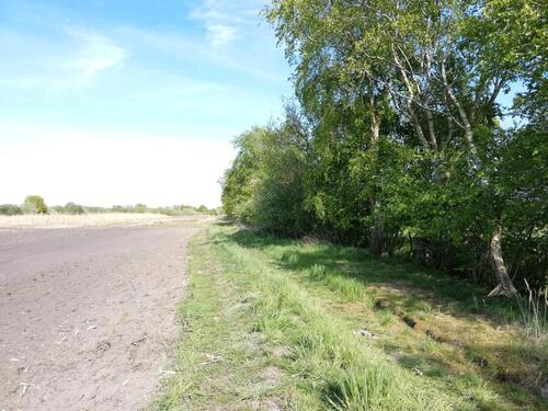 Foto - Grundst&uuml;ck in Rhauderfehn zur Miete