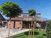 Foto - Modernes Einfamilienhaus in ruhiger Waldrandlage