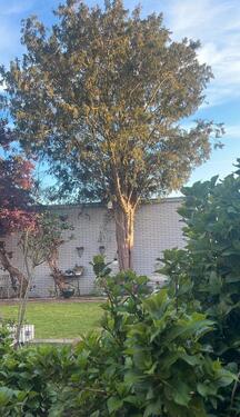 Foto - Bungalow in Salzbergen zum Kaufen