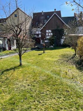 Foto - Mehrfamilienhaus, Wohnhaus in Triptis zum Kaufen