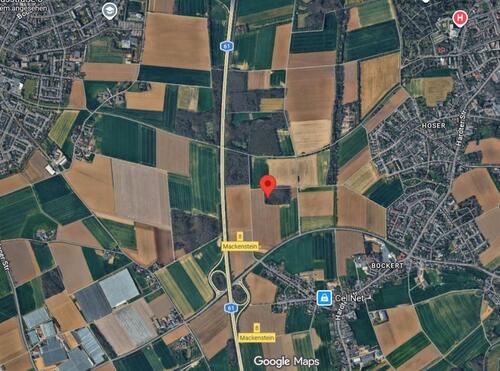 Foto - Waldgrundstück in Viersen ca.6.300m² Naturwald