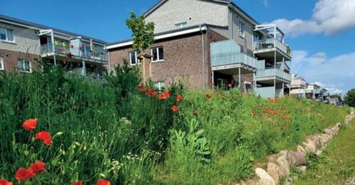 Foto - 2-Zi. Wohnung in Lütjenburg in einer privaten Wohngenossenschaft