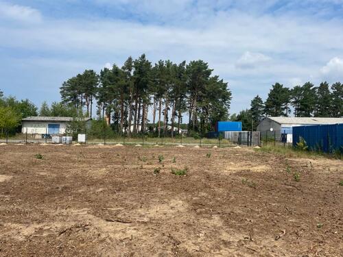 Foto - Grundstück zur Miete in Kloster Lehnin