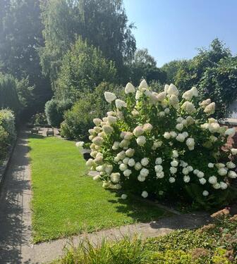 Foto - 7 Zimmer Reihenhaus in Mönchengladbach