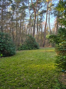 Foto - 5 Zimmer Einfamilienhaus in Wildeshausen