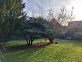 Foto - Einfamilienhaus in Dülmen zum Kaufen