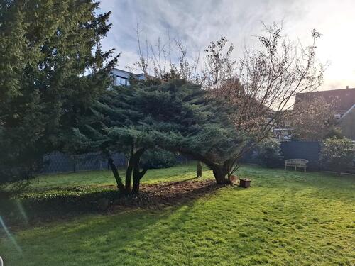 Foto - Einfamilienhaus in Dülmen zum Kaufen
