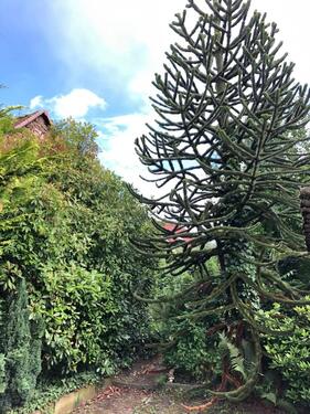 Foto - Einfamilienhaus zum Kaufen in Aschaffenburg