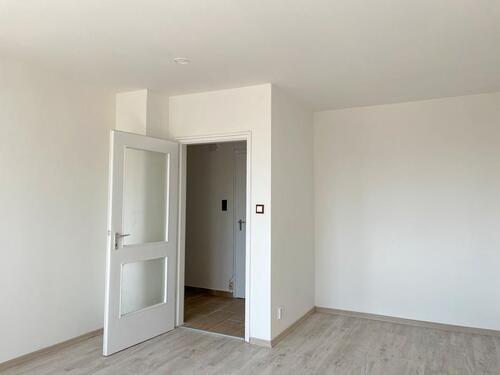 Foto - 1 Zimmer Etagenwohnung zur Miete in Lauf an der Pegnitz