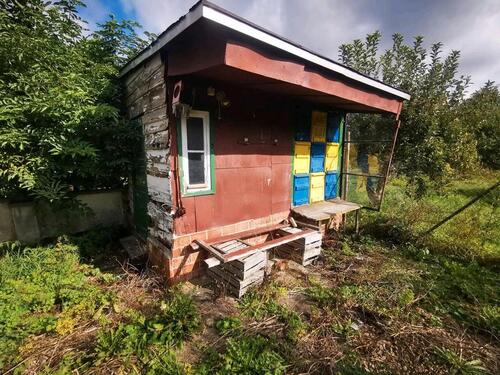 Foto - Einfamilienhaus in Heilbad Heiligenstadt zum Kaufen