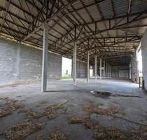 785 m² Halle Lagerhalle Schweinestall Hühnerstall Pferdestall Kuhstall Hundeschule Grundstück - Jessen (Elster)