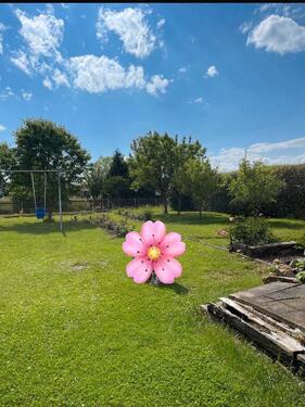 Foto - Grundst&uuml;ck zur Miete in Elsteraue