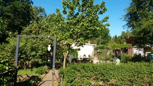 Foto - Kleingarten abzugeben in Hagenow