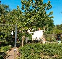 Kleingarten abzugeben in Hagenow