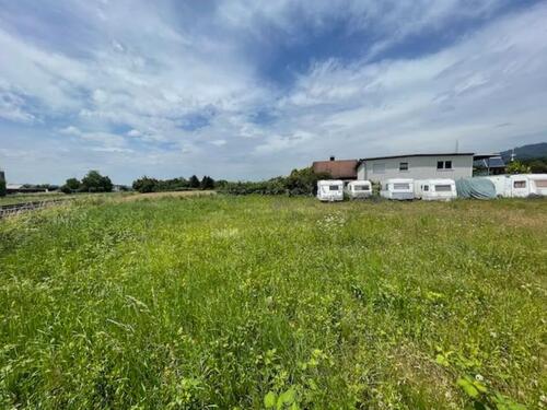 Foto - Grundstück in Bad Säckingen zur Miete