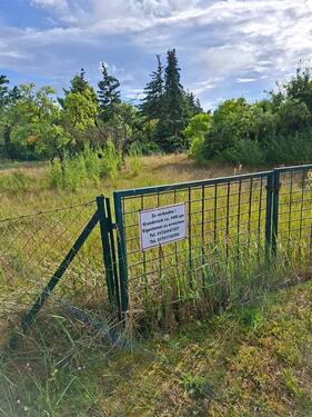 Foto - Baugrundstück an der Elbe, 29475 Gorleben Ringstraße