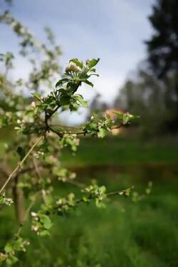 Foto - Einfamilienhaus in Heidelberg