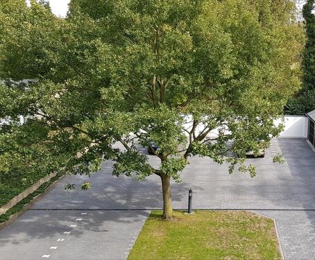 Foto - Etagenwohnung in Gelsenkirchen zur Miete