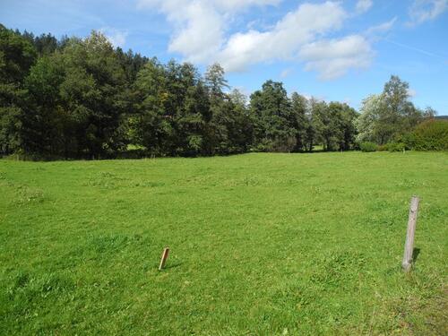 Foto - Seltene Gelegenheit.... - 350,00 EUR Kaltmiete, ca.  0,00 m²