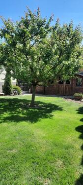 Foto - Einfamilienhaus in Giesen zum Kaufen