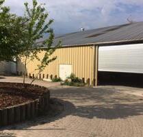 Lagerfläche ebenerdig in Kronberg-Oberhöchstadt - Kronberg im Taunus