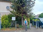 Foto - Haus mit Garten zu verkaufen - 280.000,00&nbsp;EUR Kaufpreis, ca.&nbsp; 90,00&nbsp;m&sup2;