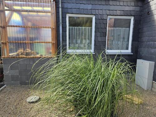 Foto - Einfamilienhaus in Lamspringe