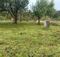 Obstbaumwiese Gütle Wochenendgrundstück Garten Freizeitgarten - Metzingen