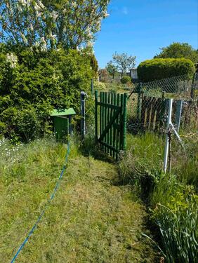 Foto - Grundstück zur Miete in Bad Lausick