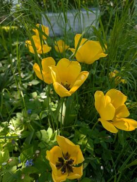 Foto - Grundstück in Bad Lausick