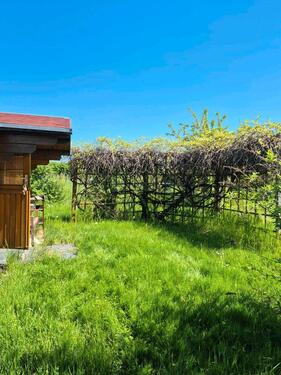 Foto - Grundstück in Bad Lausick zur Miete