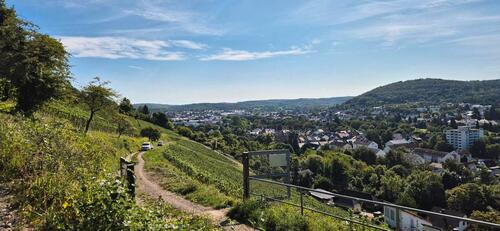 Foto - Grundstück in Karlsruhe
